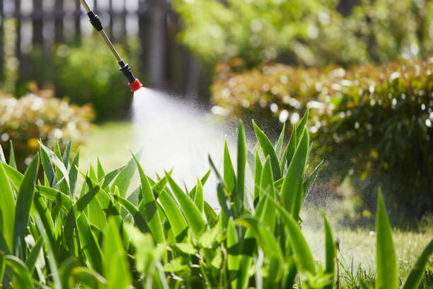 Tamper-Resistant Bait Stations for Rodents in Sage