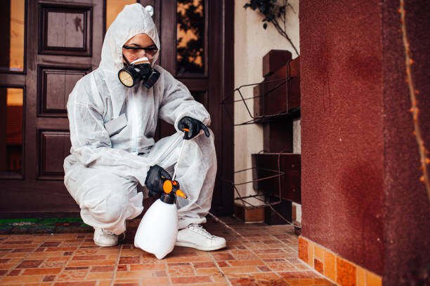 Attic and Crawl Space Rodent Treatment in Sage