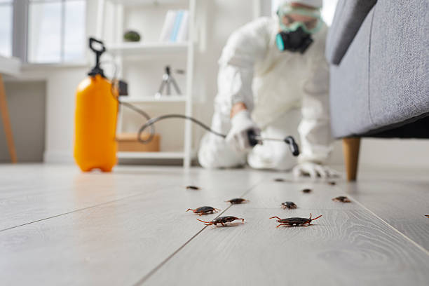 Commercial Rodent Management in Sage